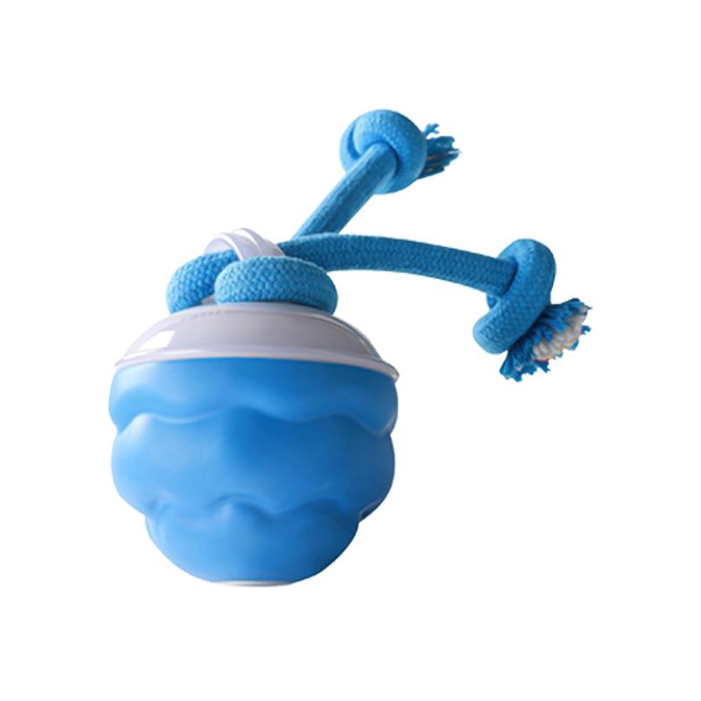 Motion-Activated Interactive Dog Toy Ball