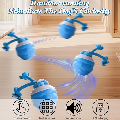 Motion-Activated Interactive Dog Toy Ball