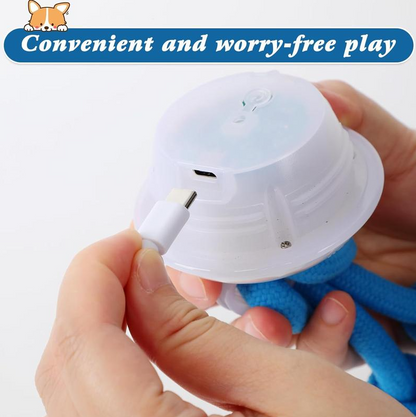 Motion-Activated Interactive Dog Toy Ball