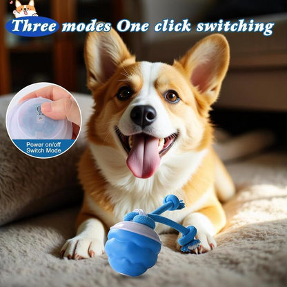 Motion-Activated Interactive Dog Toy Ball