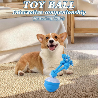 Motion-Activated Interactive Dog Toy Ball