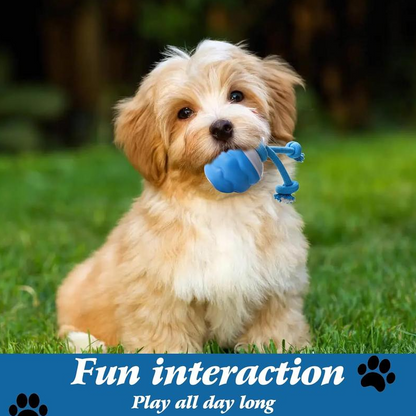 Motion-Activated Interactive Dog Toy Ball