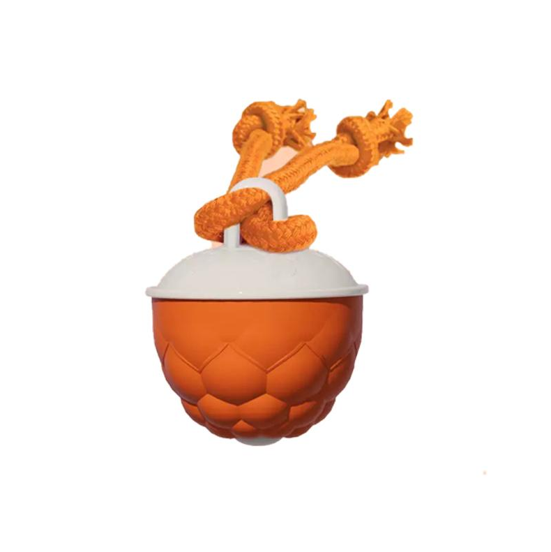 Motion-Activated Interactive Dog Toy Ball